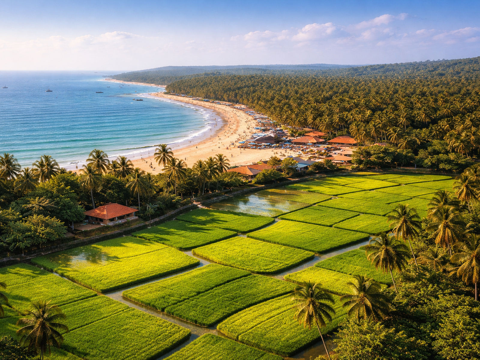 Goa Fields and Beach